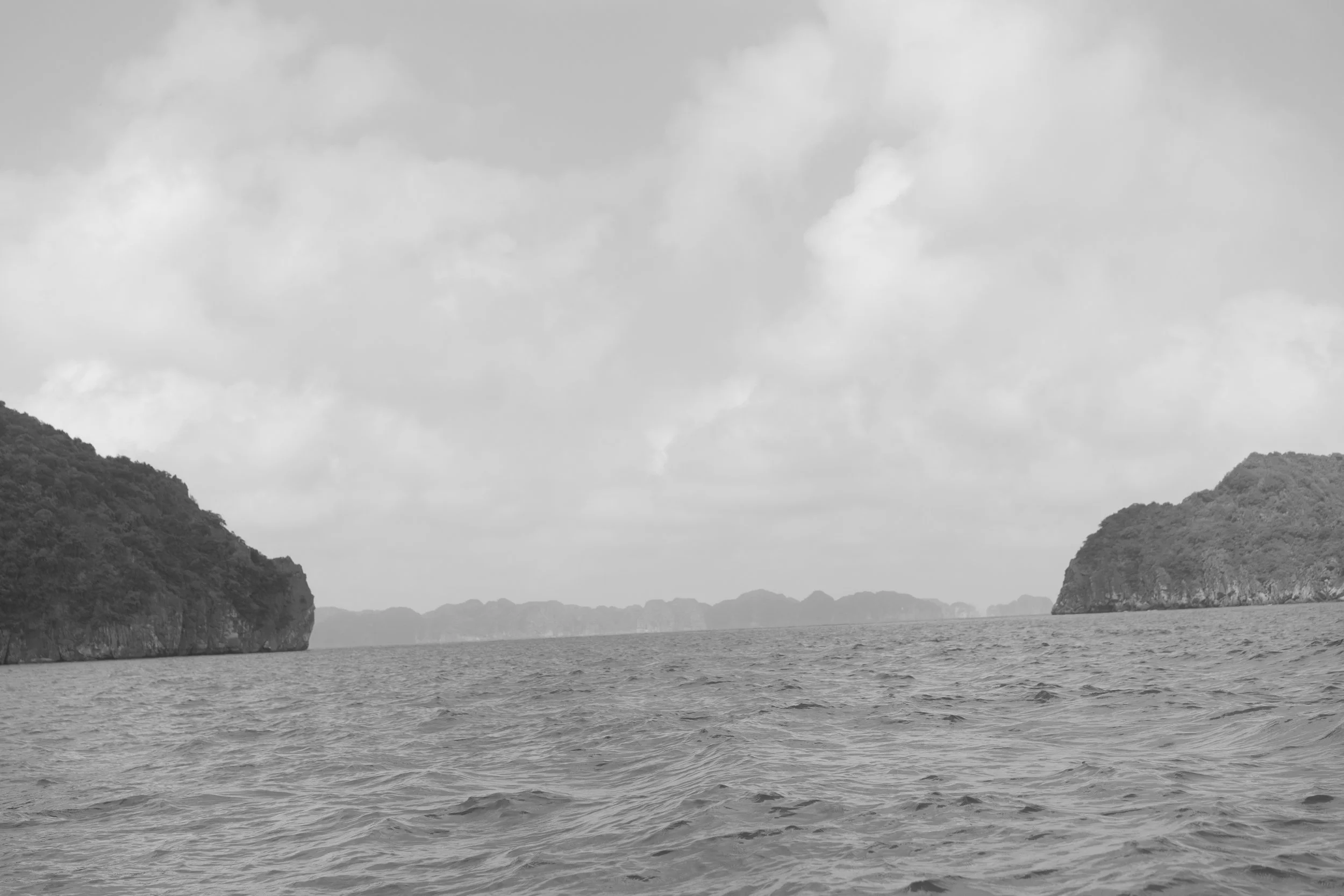 DSC08249.jpg