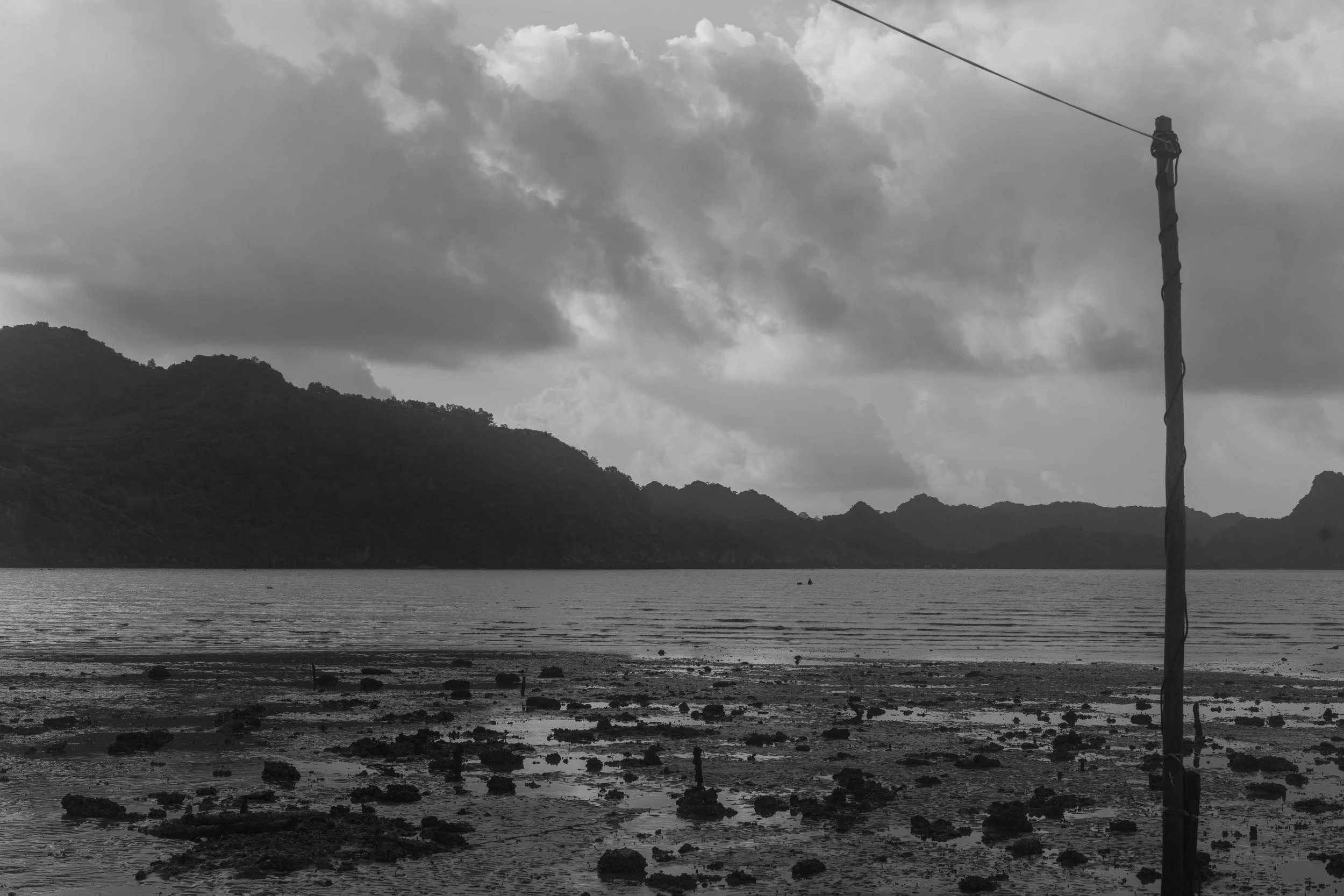 DSC08556.jpg