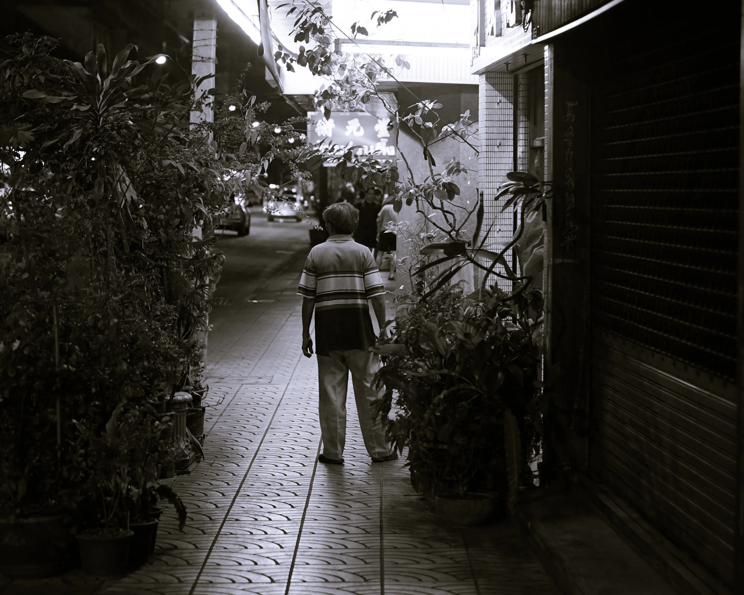 DSC05087.jpg
