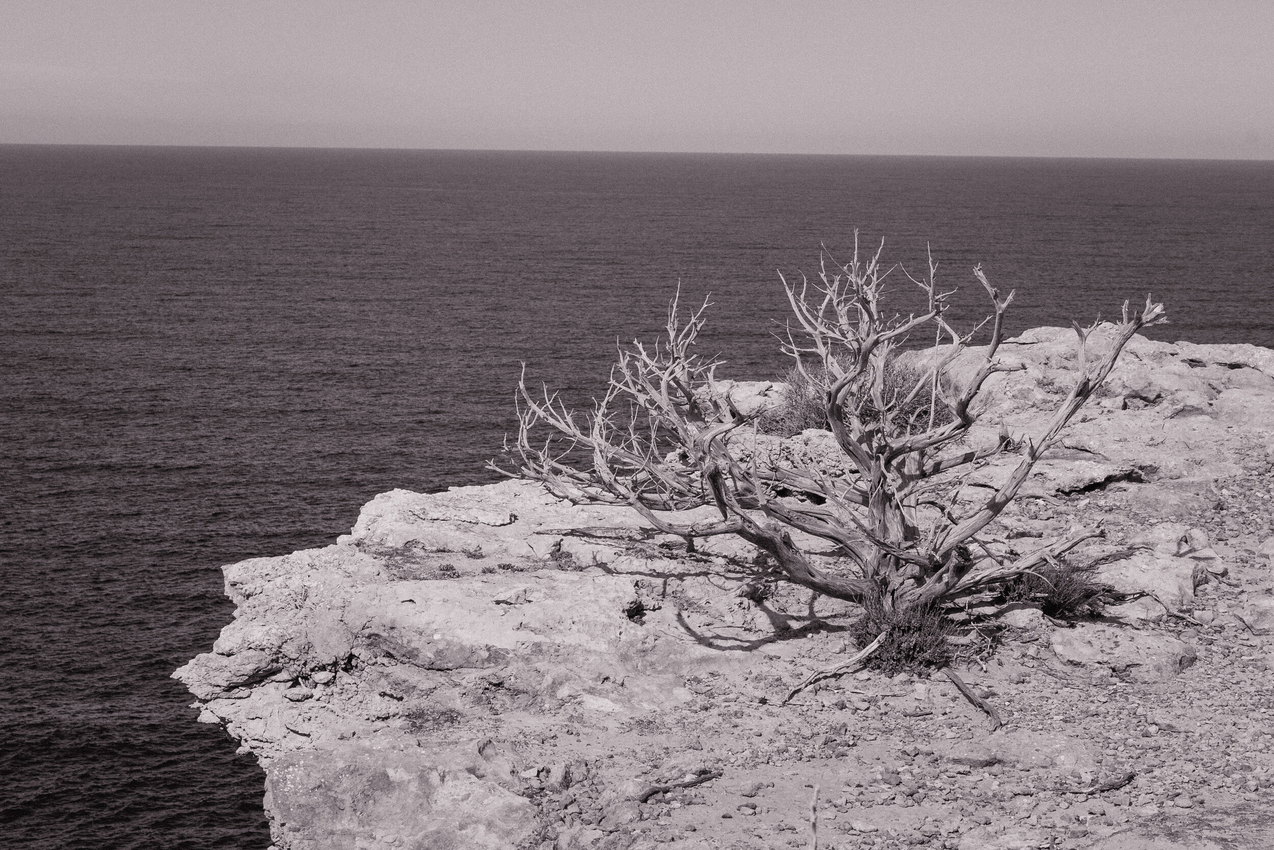 _DSC9387.jpg