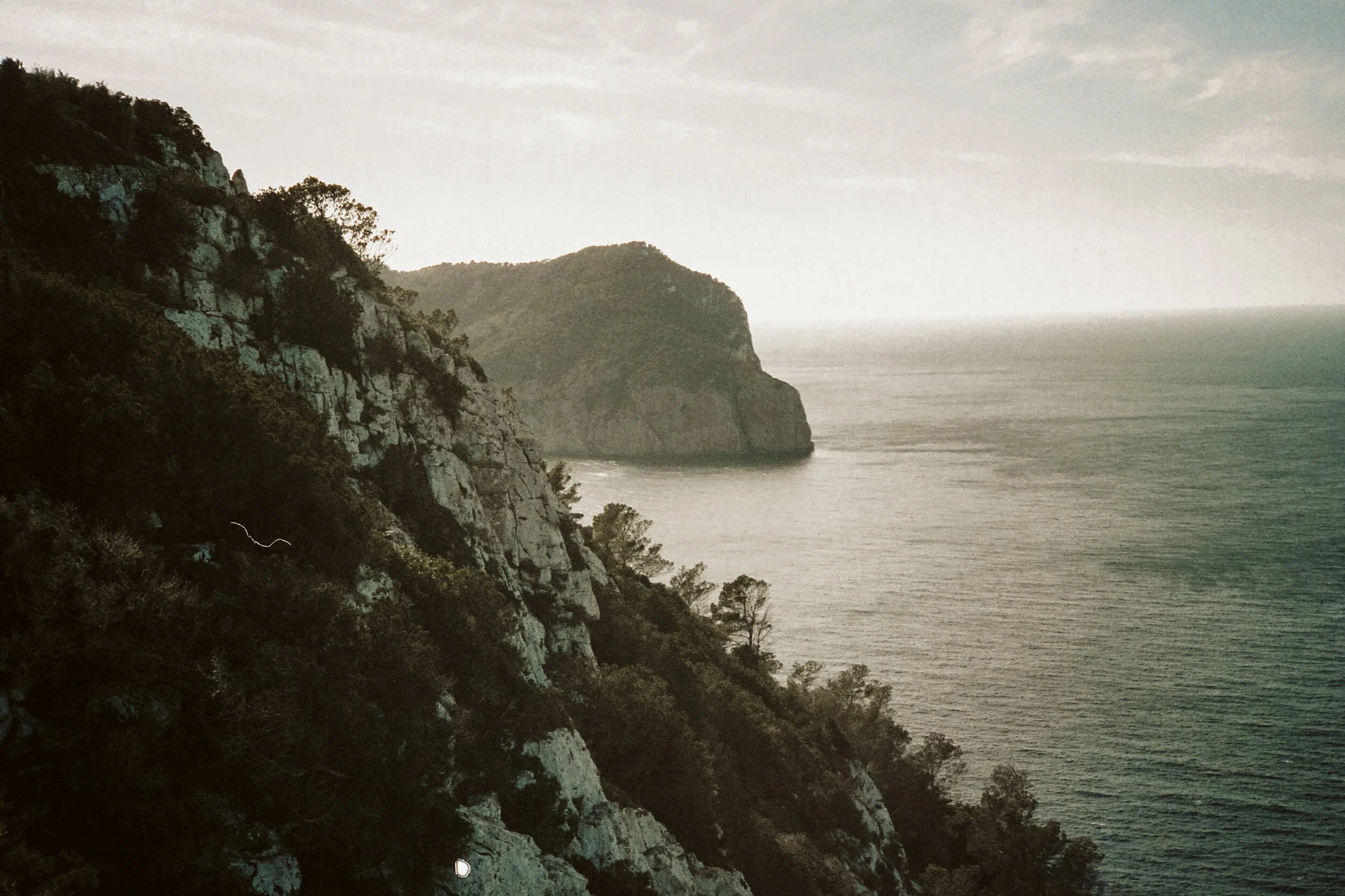 img006.jpg