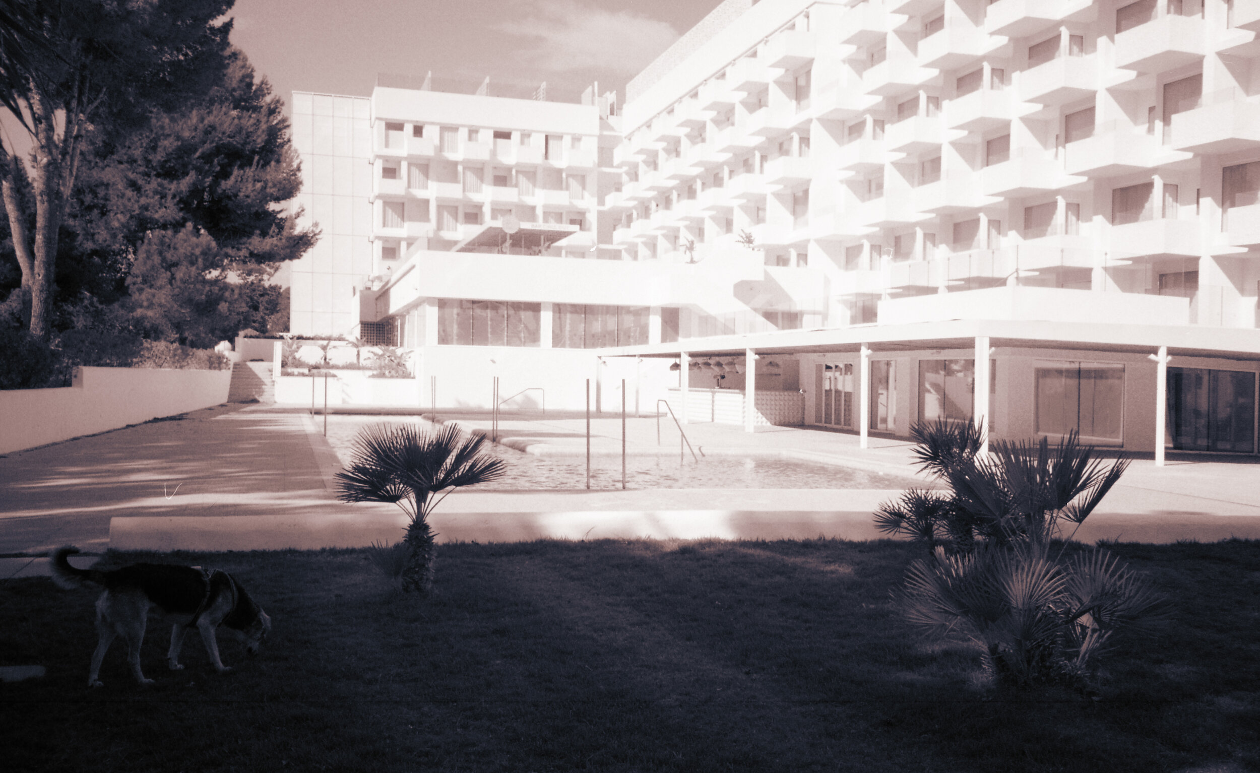img014.jpg