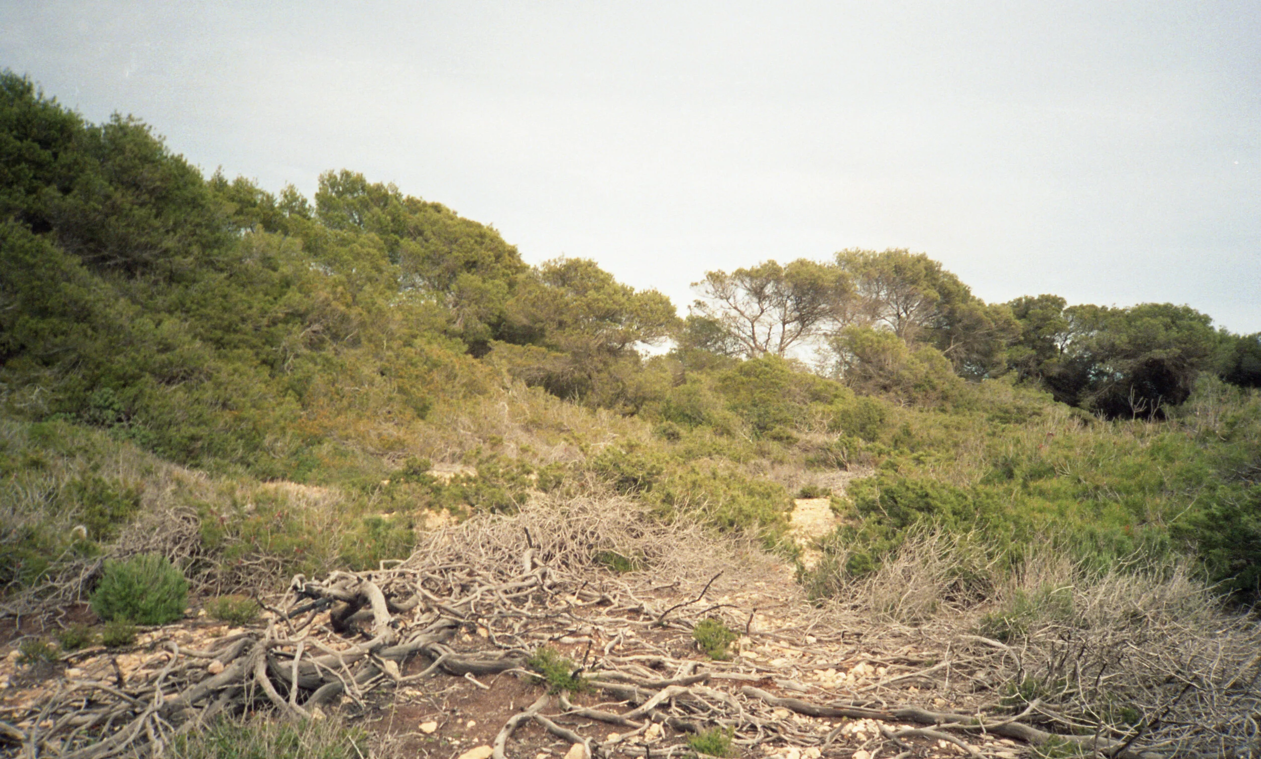img021.jpg