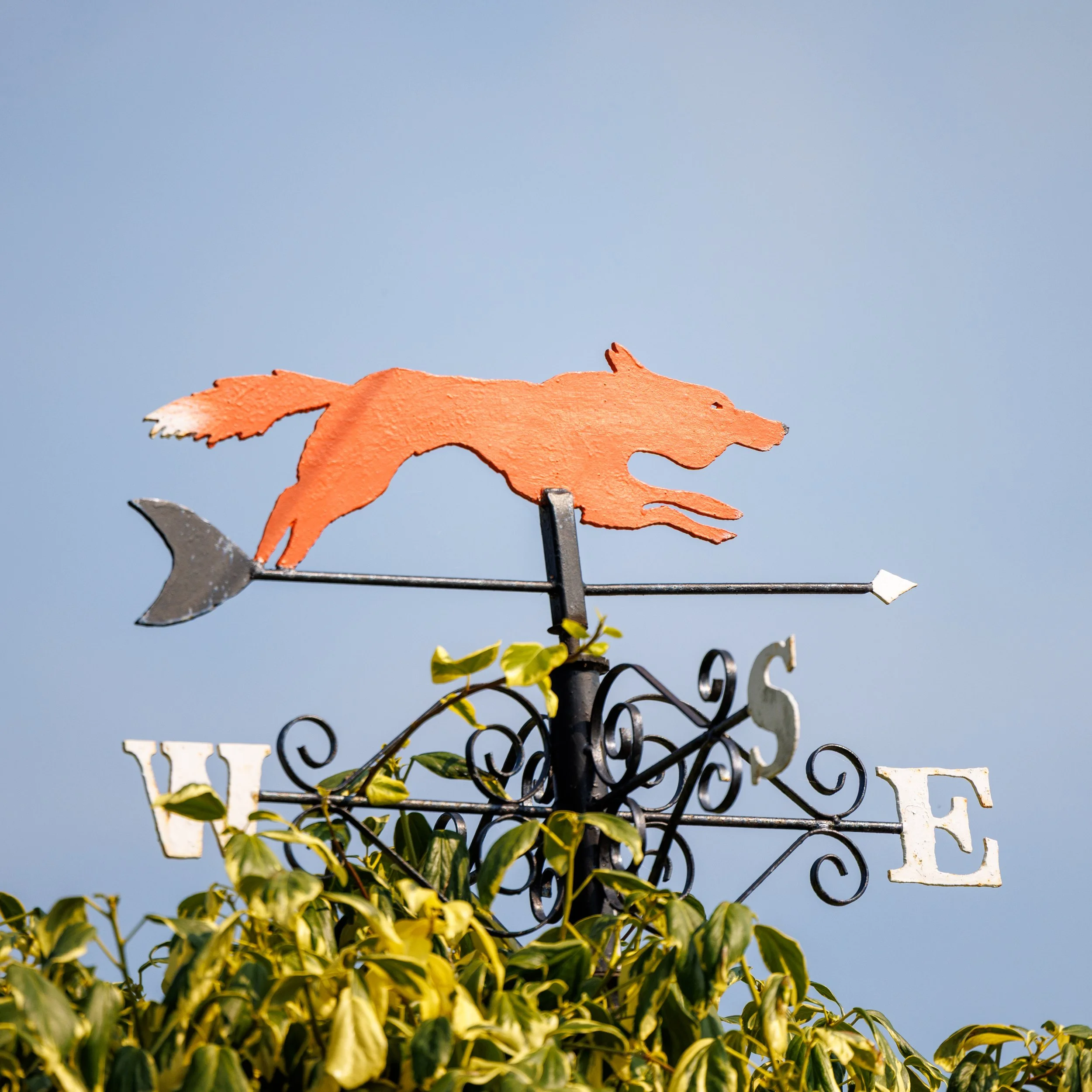 Foxs Exterior-32.jpg
