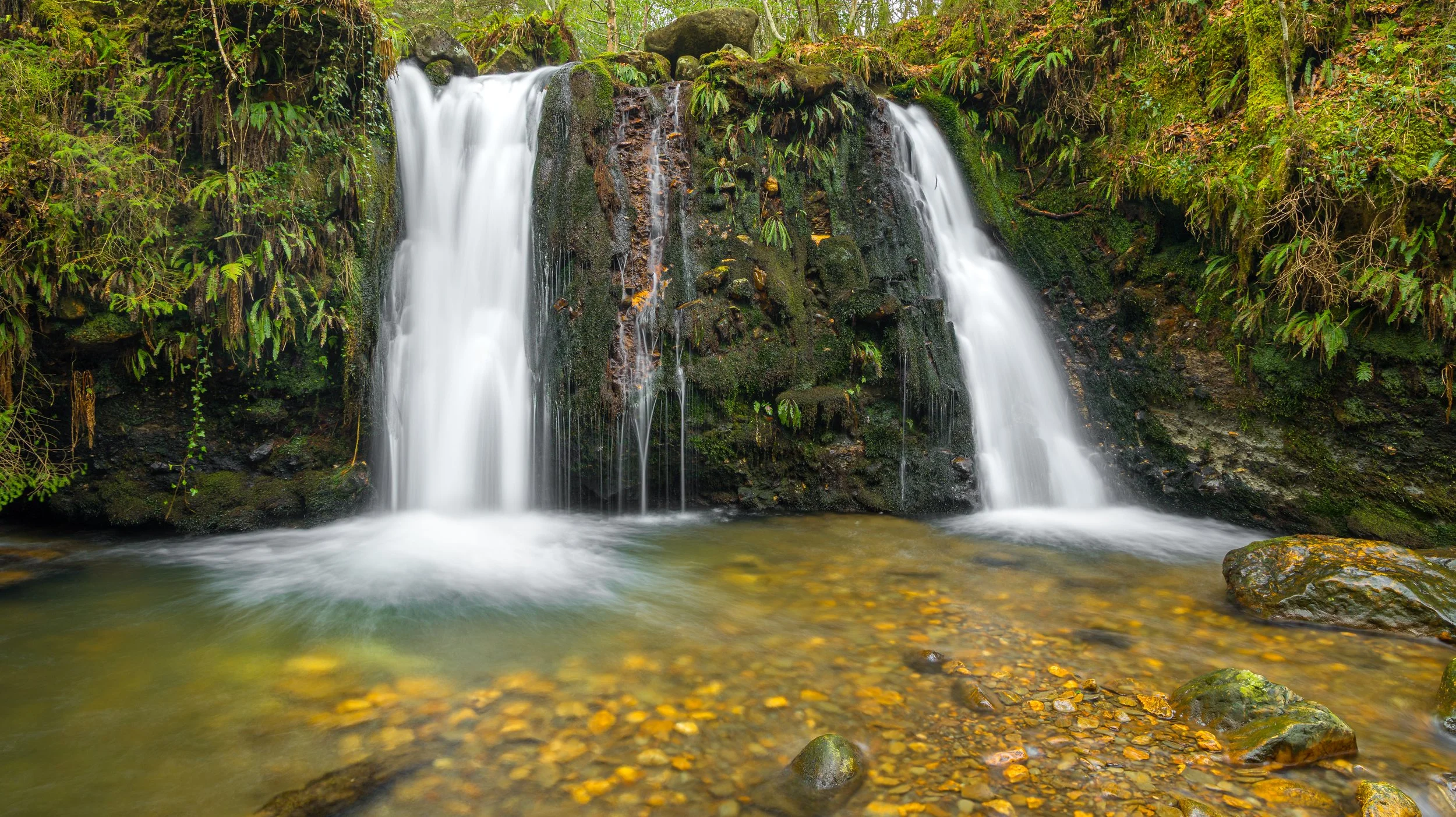 Coolalingo Waterfalls-3.jpg