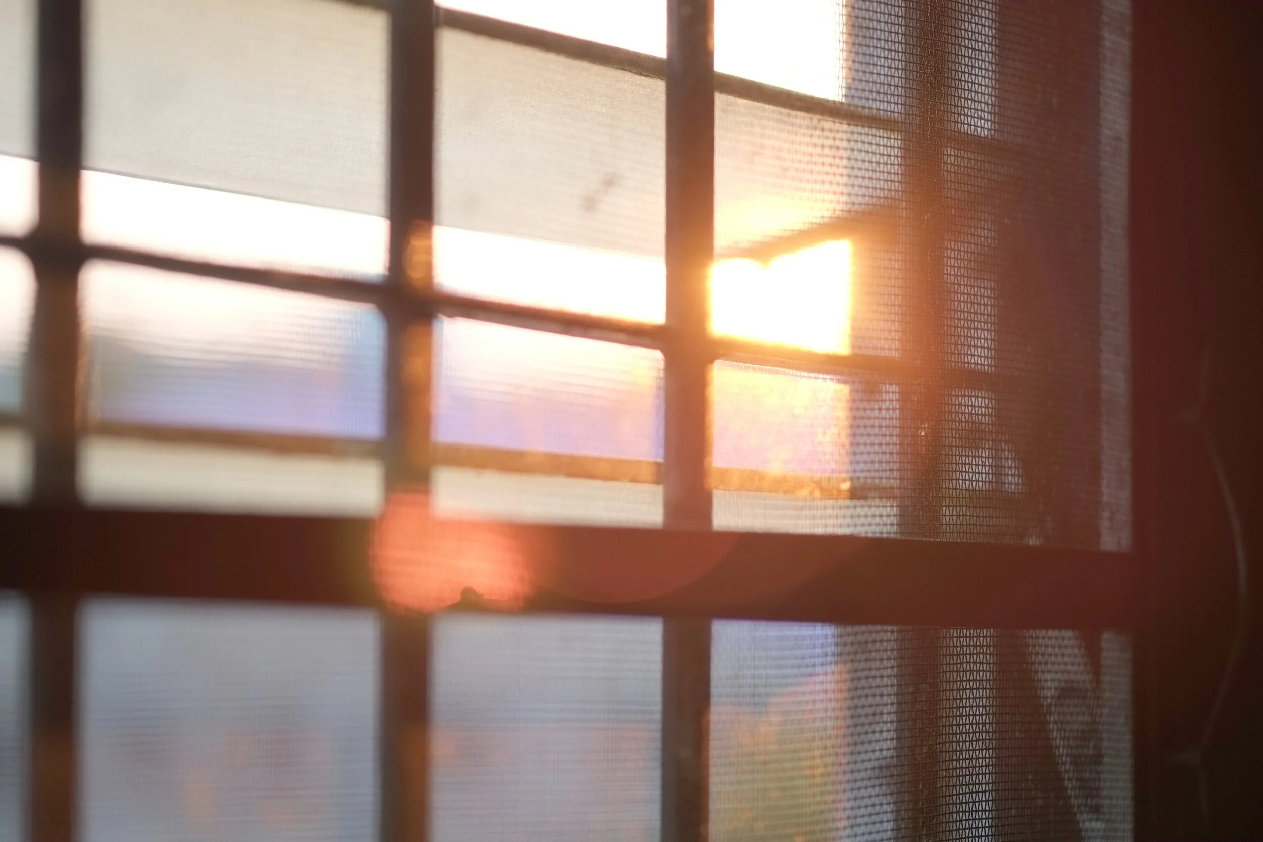 Evening Online Meditation Group - June 9, 5:30pm PST