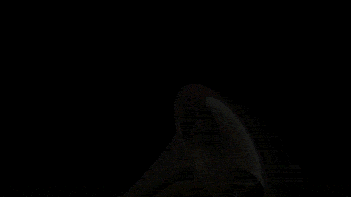 grammycam.gif