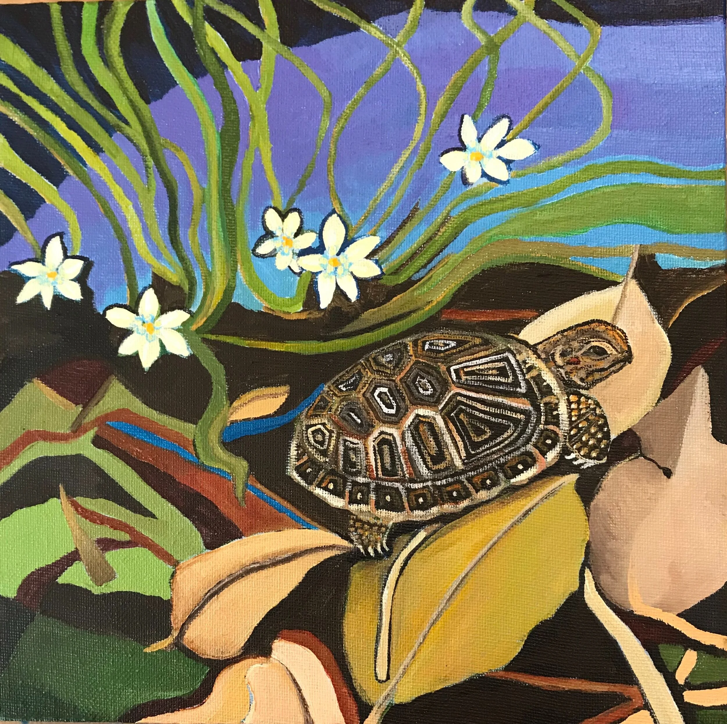 Little Box Turtle-10"x10"; April 2020-($200 plus postage)