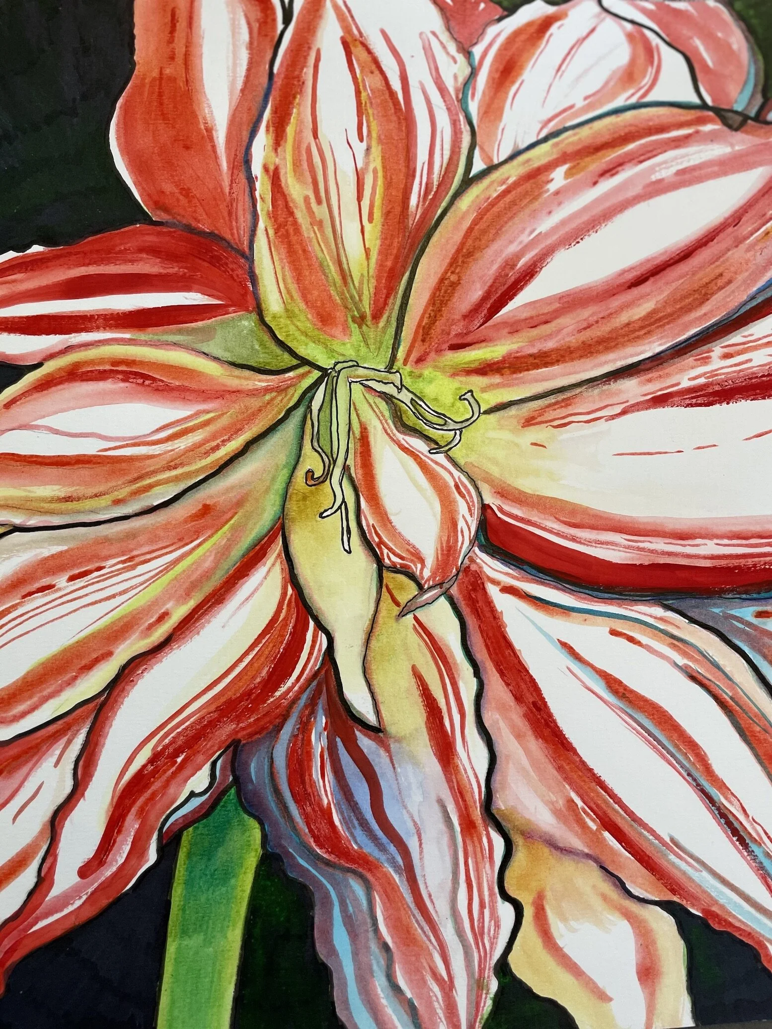 SOLD-Amaryllis-(12"x12") watercolor and ink; January 2021