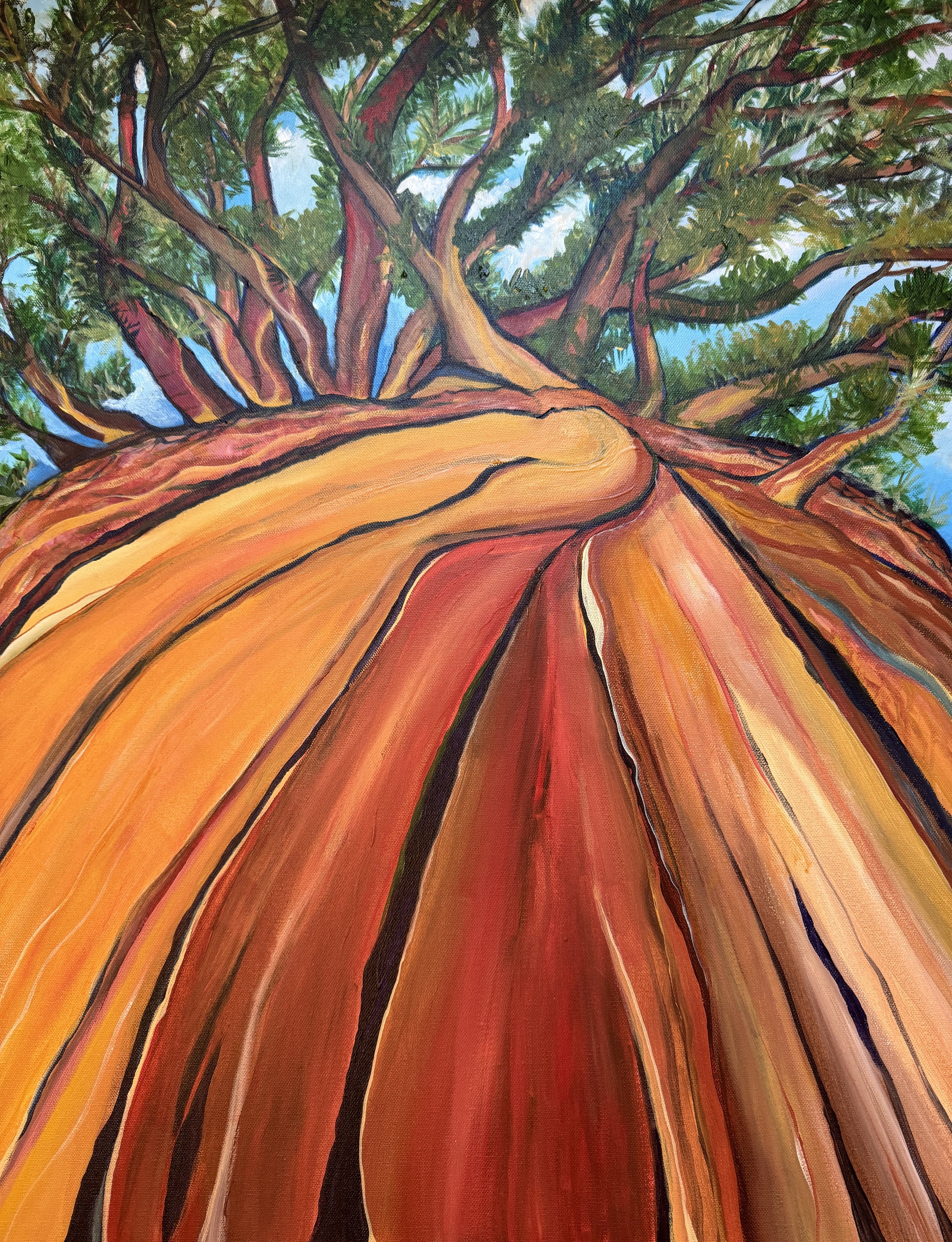 Sold-Gentle Jeffrey Pine; 30”x24”; acrylic on canvas; 2024 