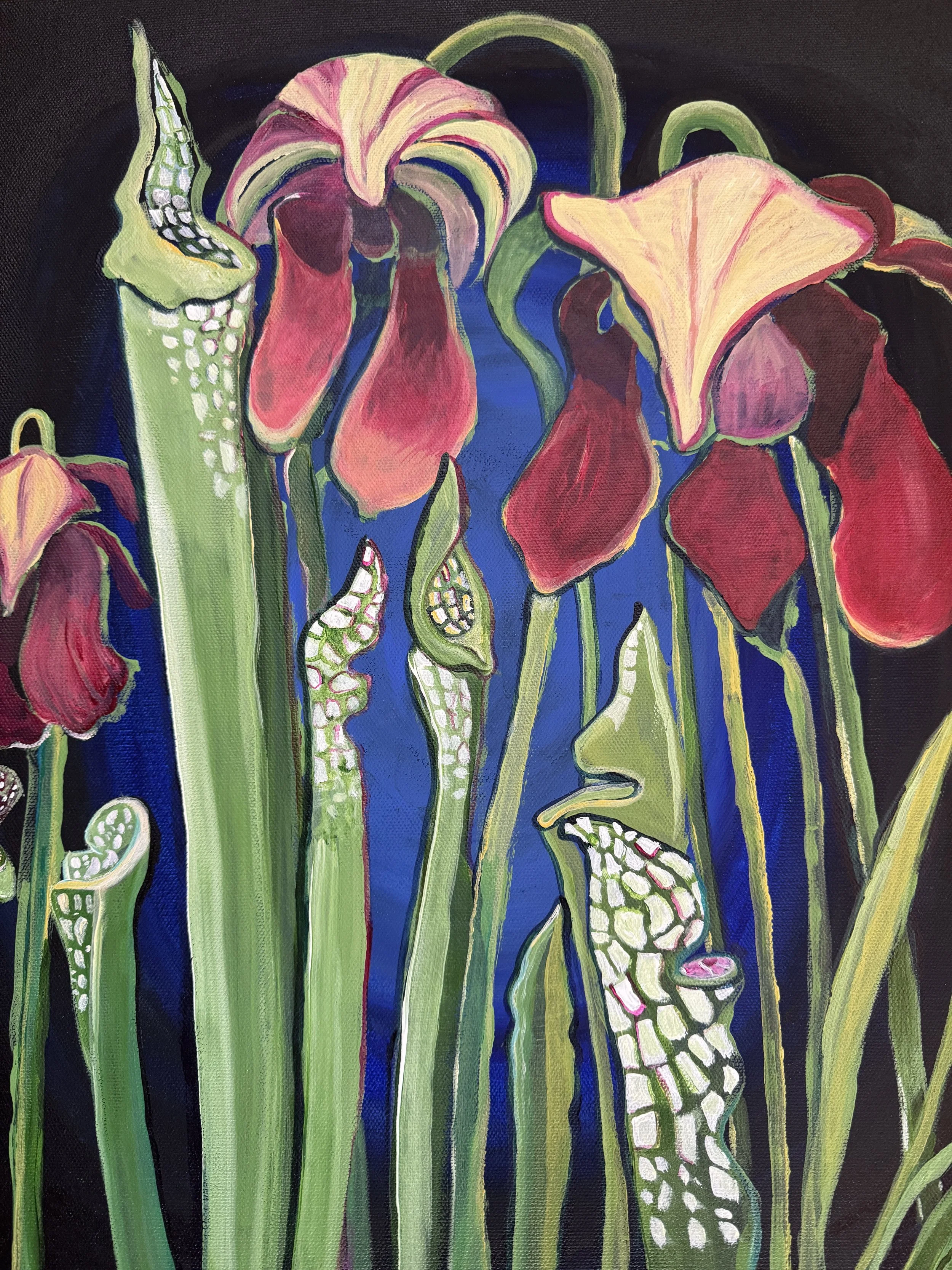 Pitcher Plants at Dusk- 20x16"; May 2024 $300 plus shipping