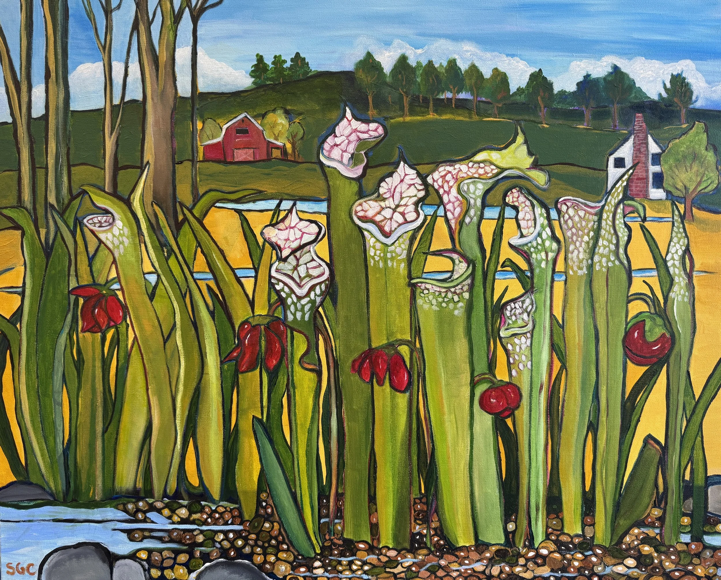 Blooming Pitcher Plant Bog- 24"x30"; acrylic on canvas; $300 plus shipping