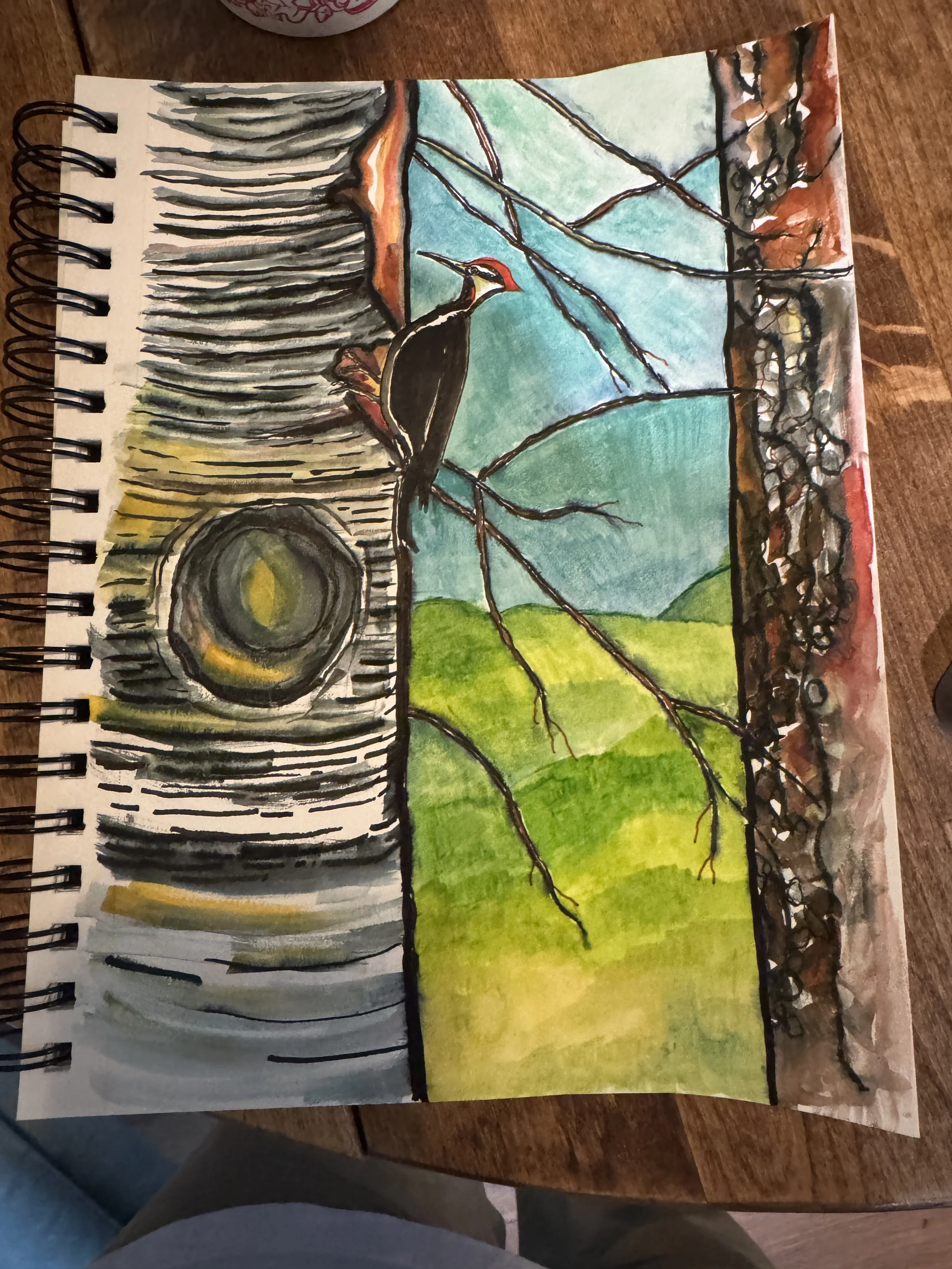 Pileated Woodpecker in N.CA. (10x7") watercolor and ink; Sept. 2025 (Available)