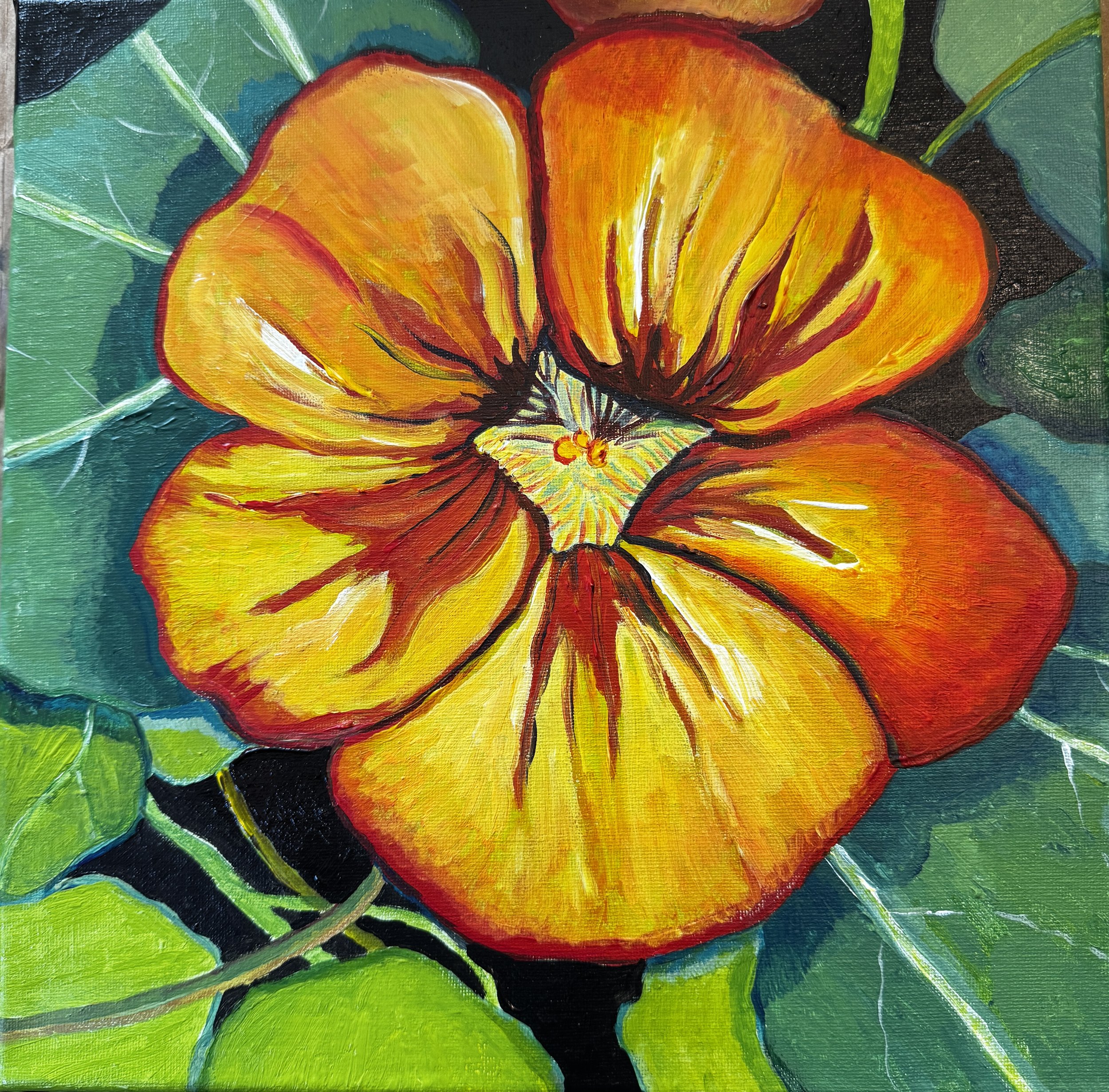 Nasturtium Up Close- 12"x12"; acrylic on canvas; March 2026; Available