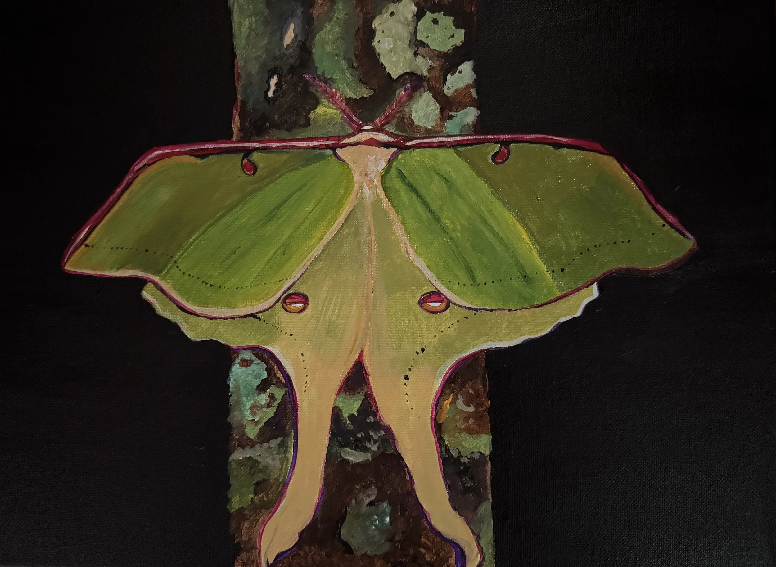 Luna Moth- 2026- Sold