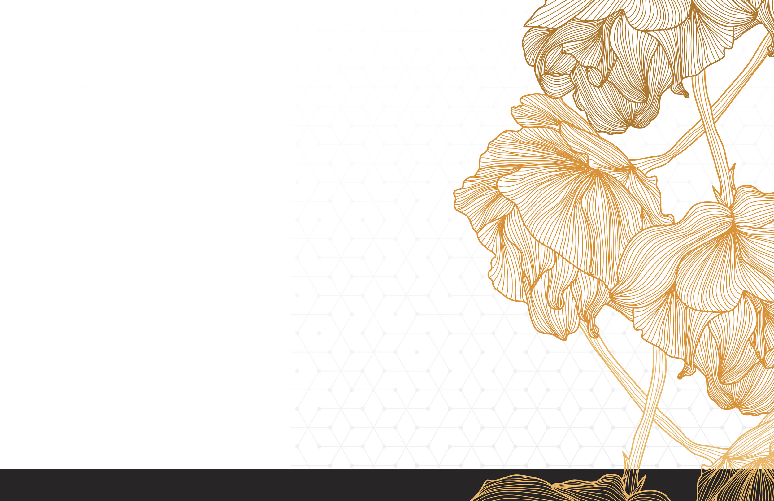 2018-HONEY_Screen-noLogo.jpg