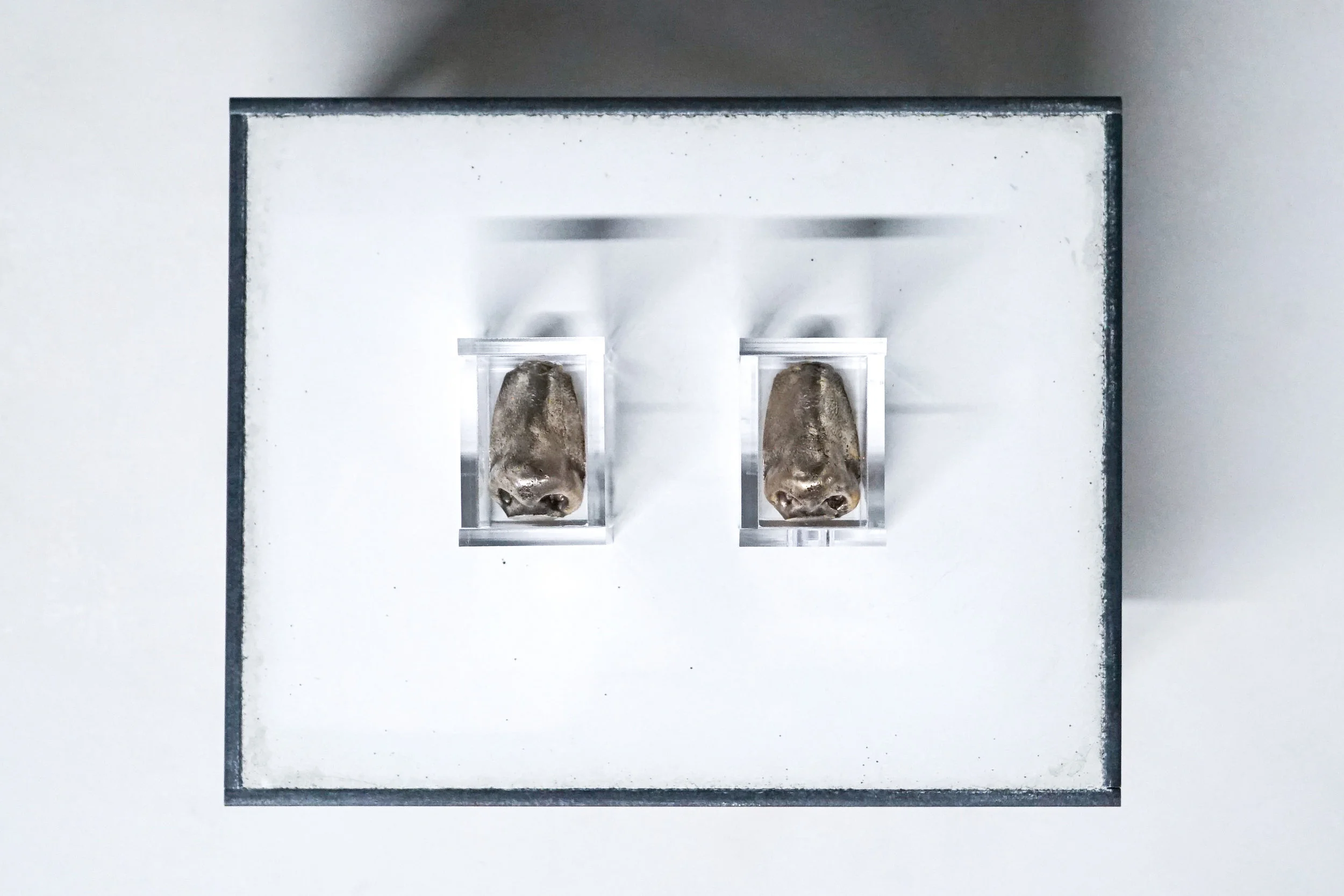 senza titolo-1416.jpg