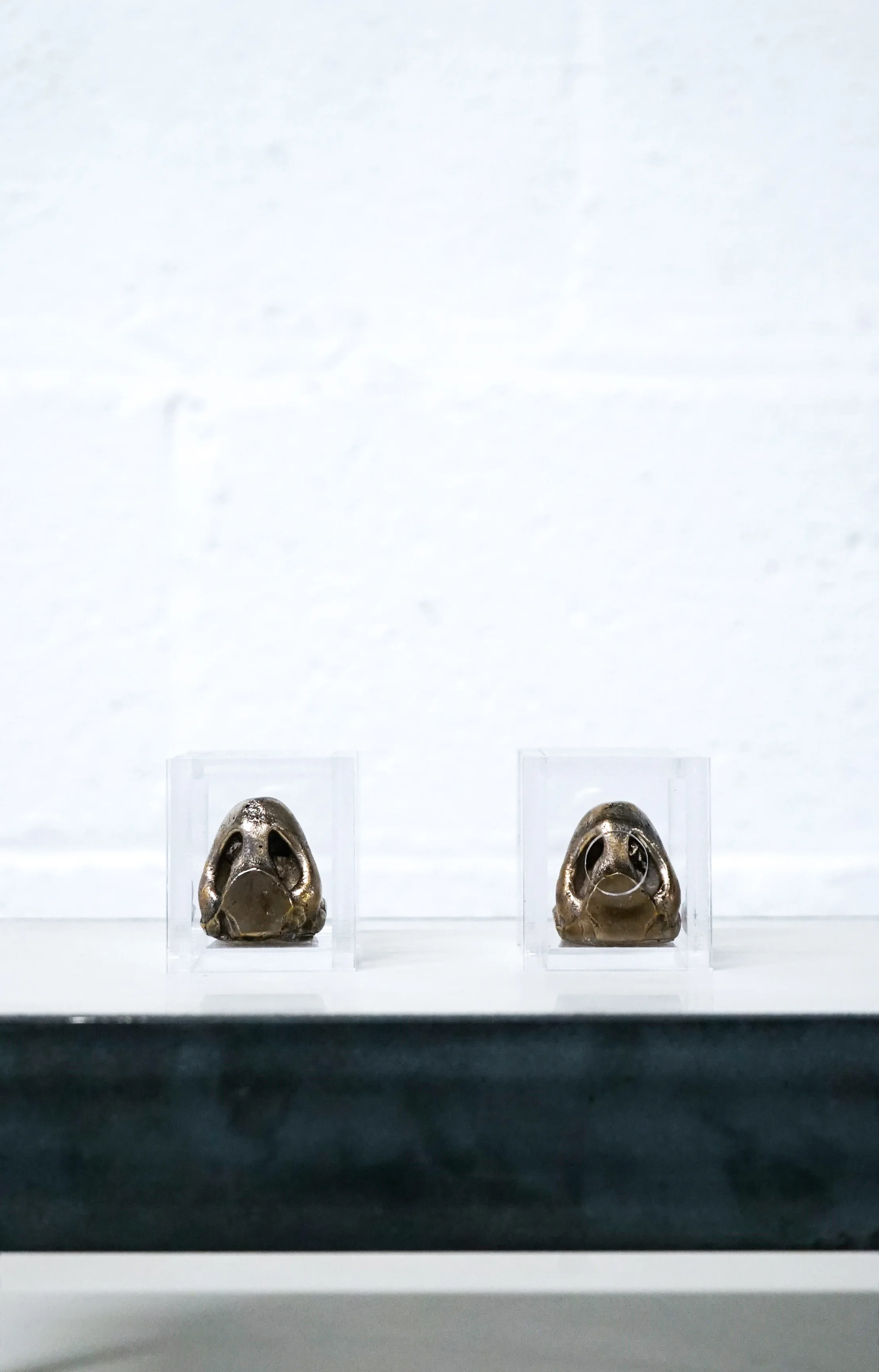 senza titolo-1412.jpg