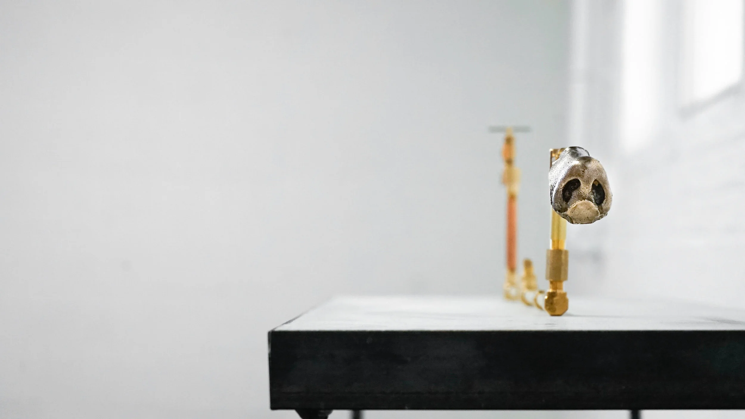 senza titolo-1406.jpg