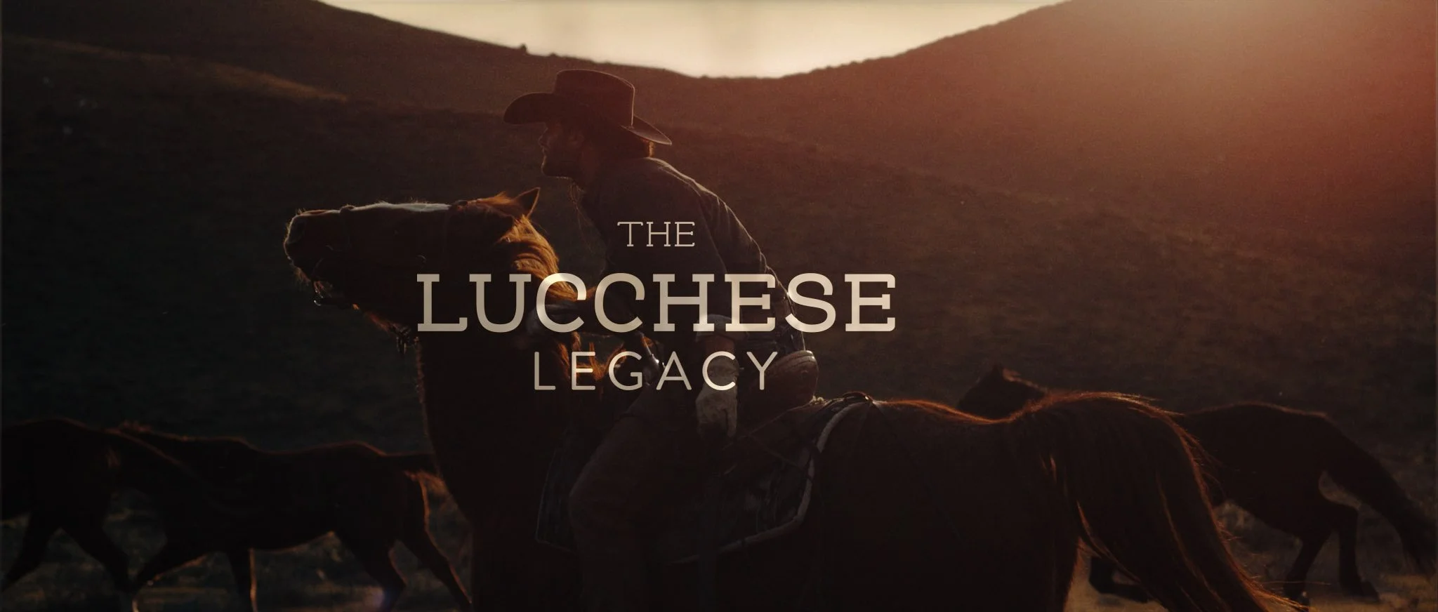 LUCCHESE_title.jpg