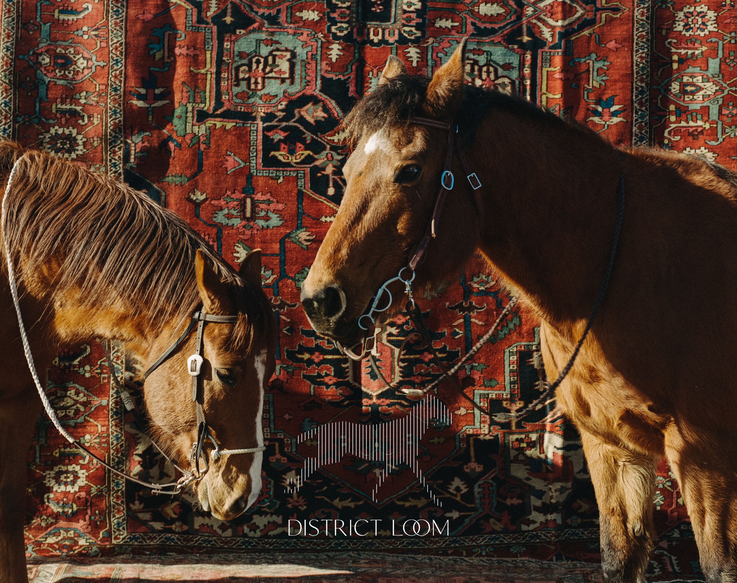 district loom horse line graphic.jpg
