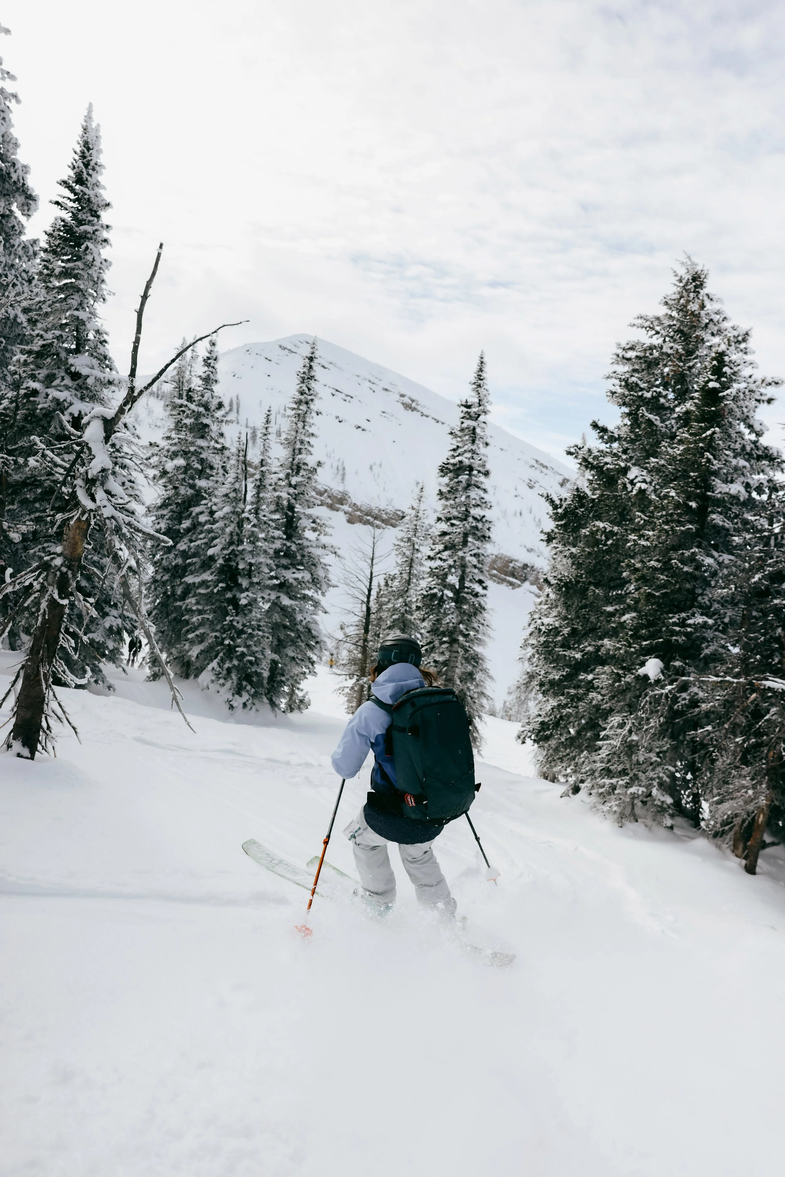 NBTR_Targhee_35.jpg
