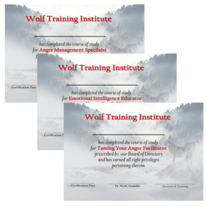 3certificates700-300x300.png