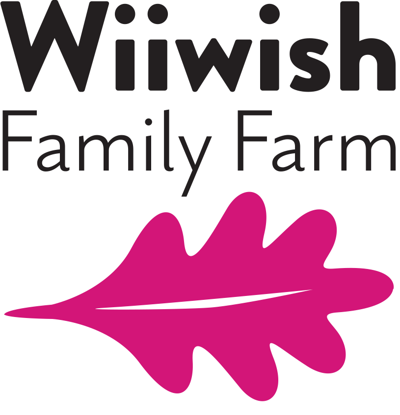 Wiiwish Logo.png