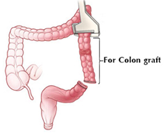 chet-plasticsurgery.com