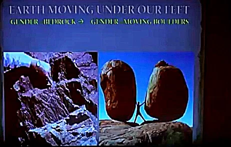 Presentation by Diane Ehrensaft 2016, gender moving boulders  (1:04:12-1:04:46)