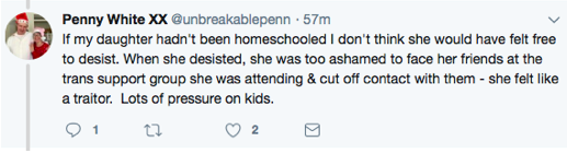 penny_peer_pressure_desistance.png