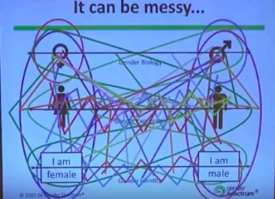 gender ideology  taught by D. Ehrensaft/J. Baum From Gender Spectrum