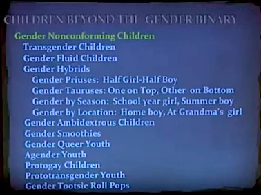 gender_children_long_list_trans_identities.jpg