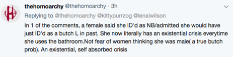 homoarchy_nonbinary_bathroom_crises.png