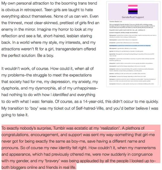 lesbian_harm_tumblr.jpg