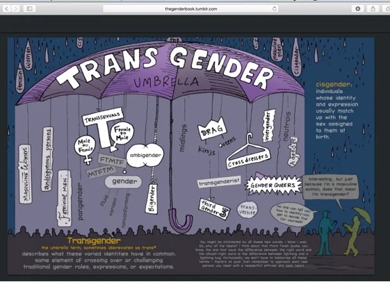 thegenderbook.tumblr.com