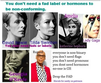Many Lgbt People Do Not Agree With Gender Queer Theory Scientific Validity Taught In Schools Gender Health Query