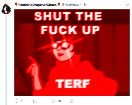 singal_trans_harassement_stfu_terf.jpg