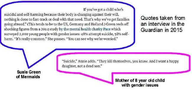 Mermais, trans youth suicide