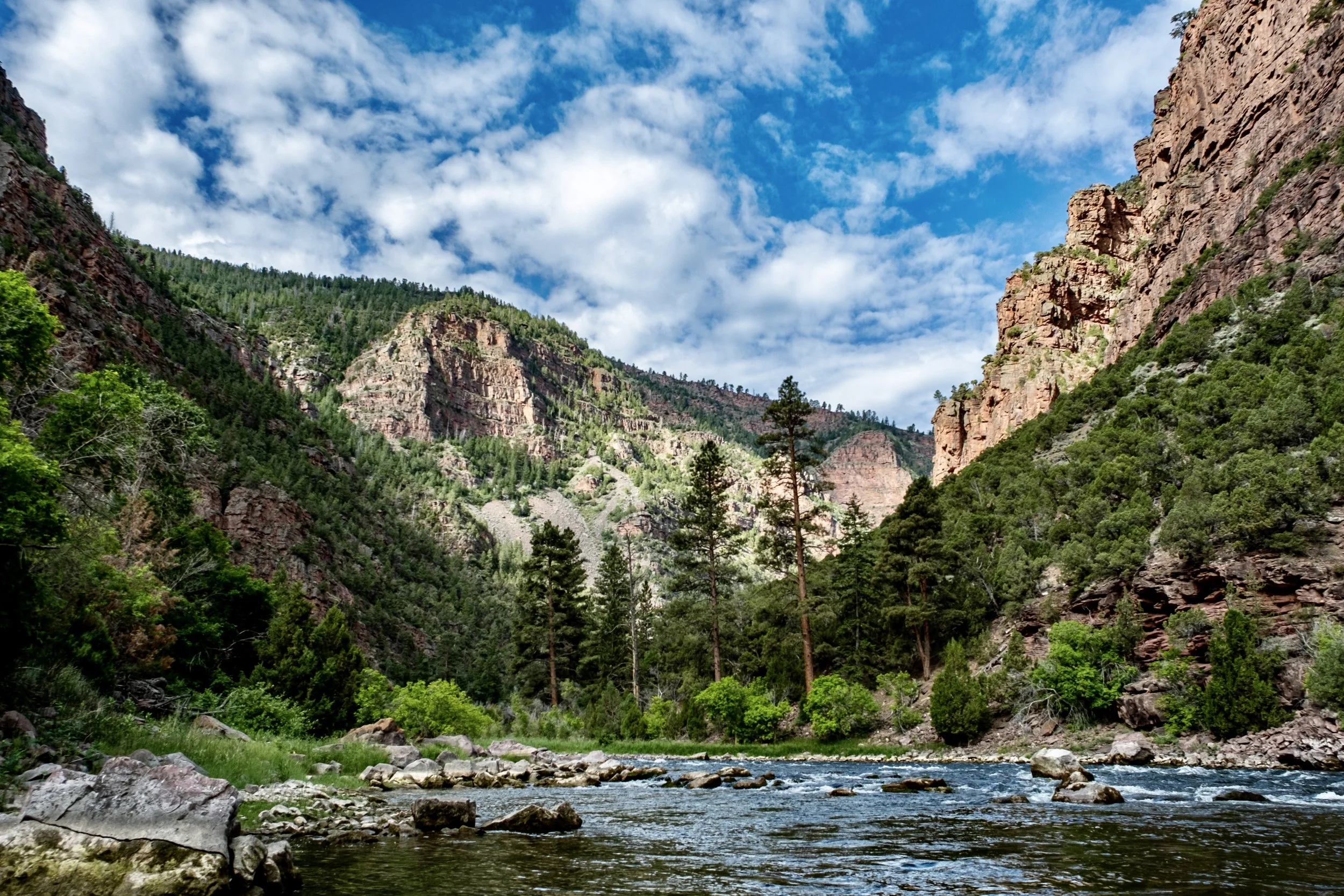 DSCF1681.jpg
