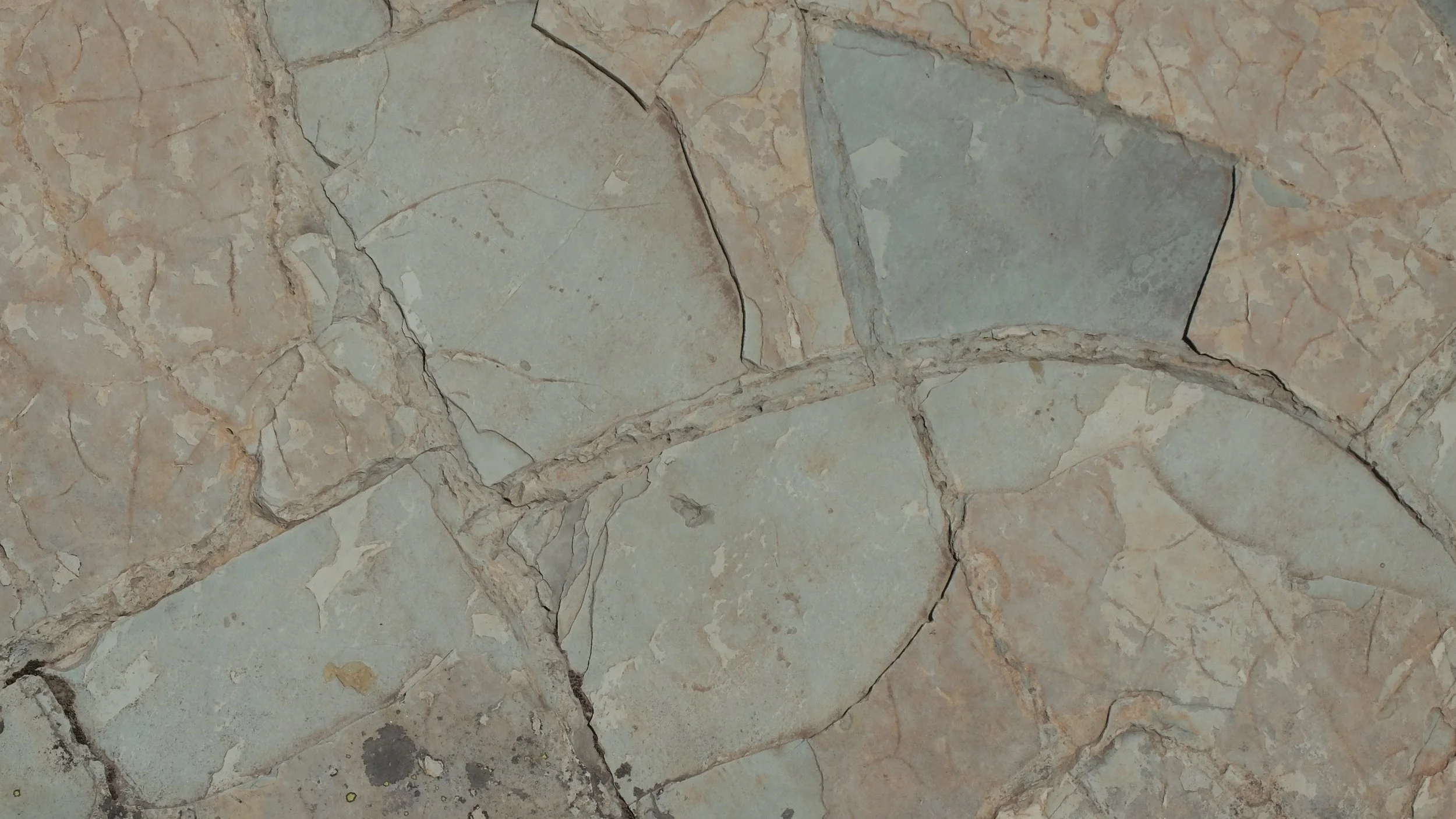 DSCF4134.jpg