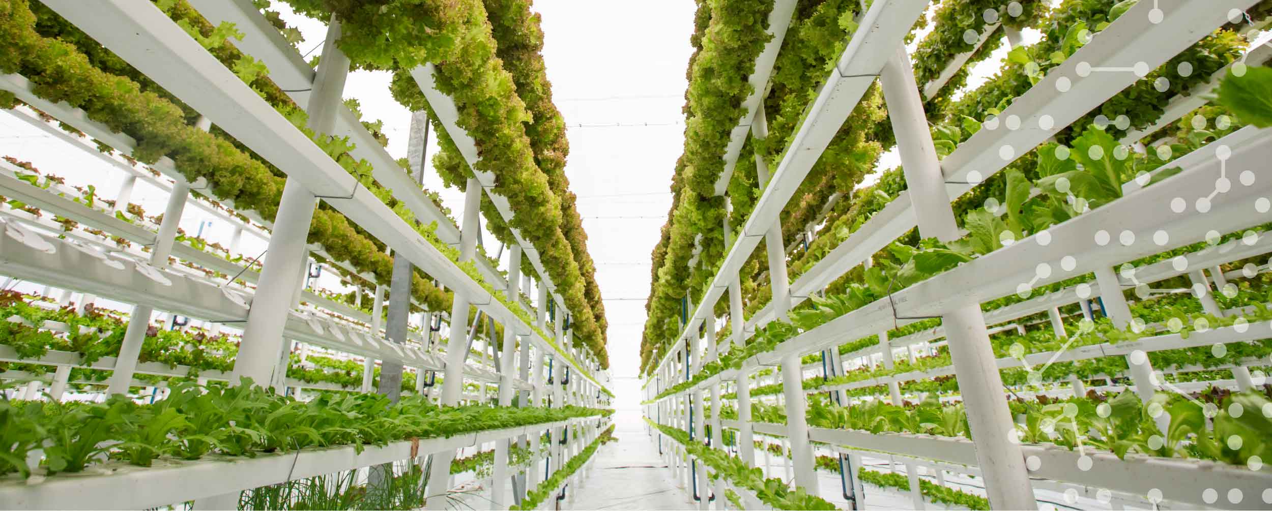 Benefits of Indoor and Vertical Farming Systems