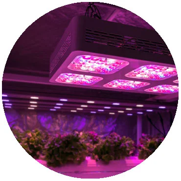 autogrow-1.jpg