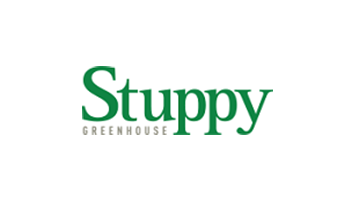 stuppy.png