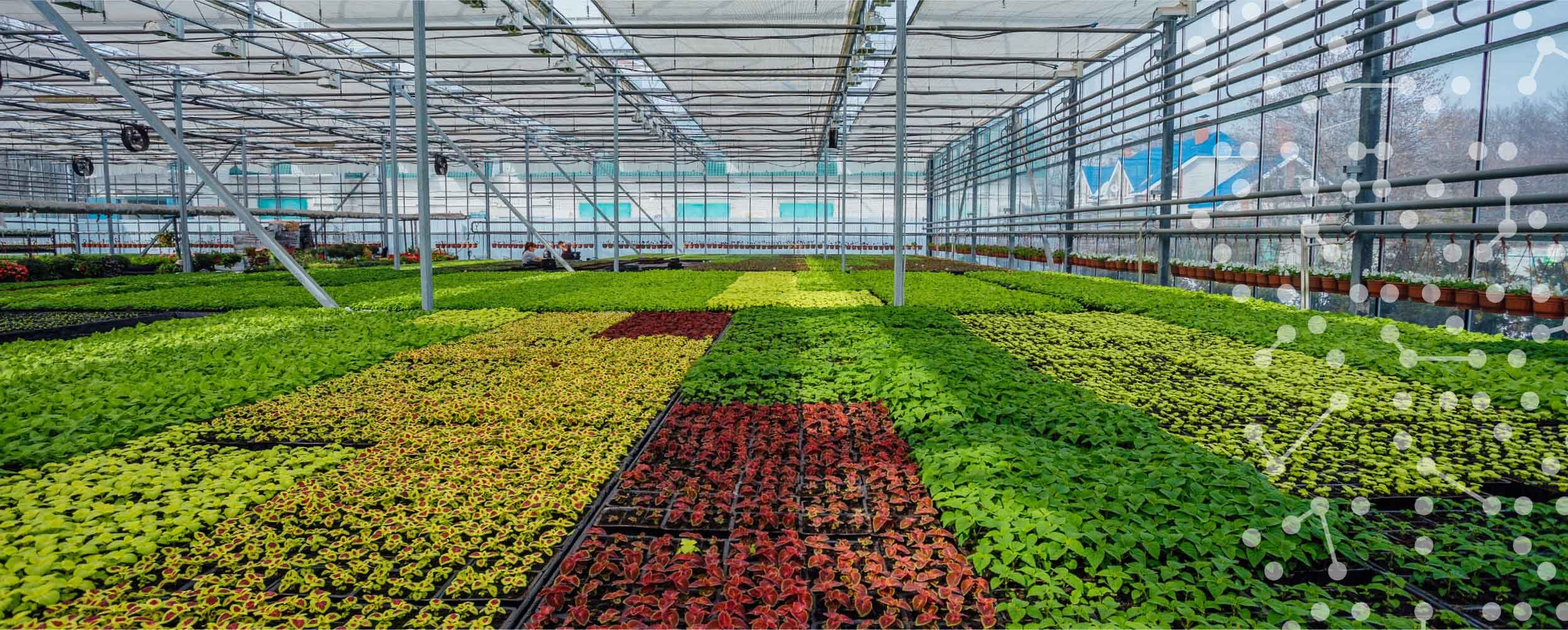 Smart Greenhouse System