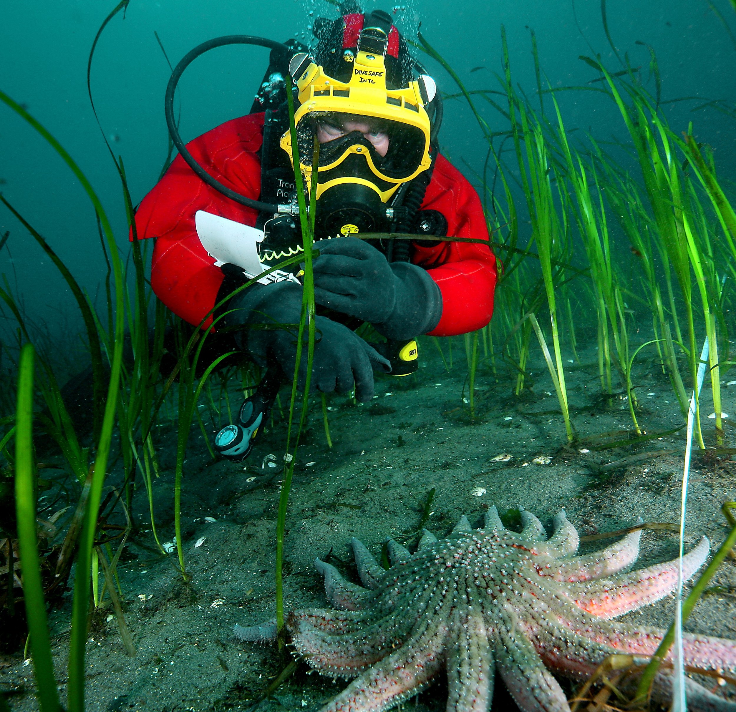DIVESAFE env assessment diving COREY closeup.jpg