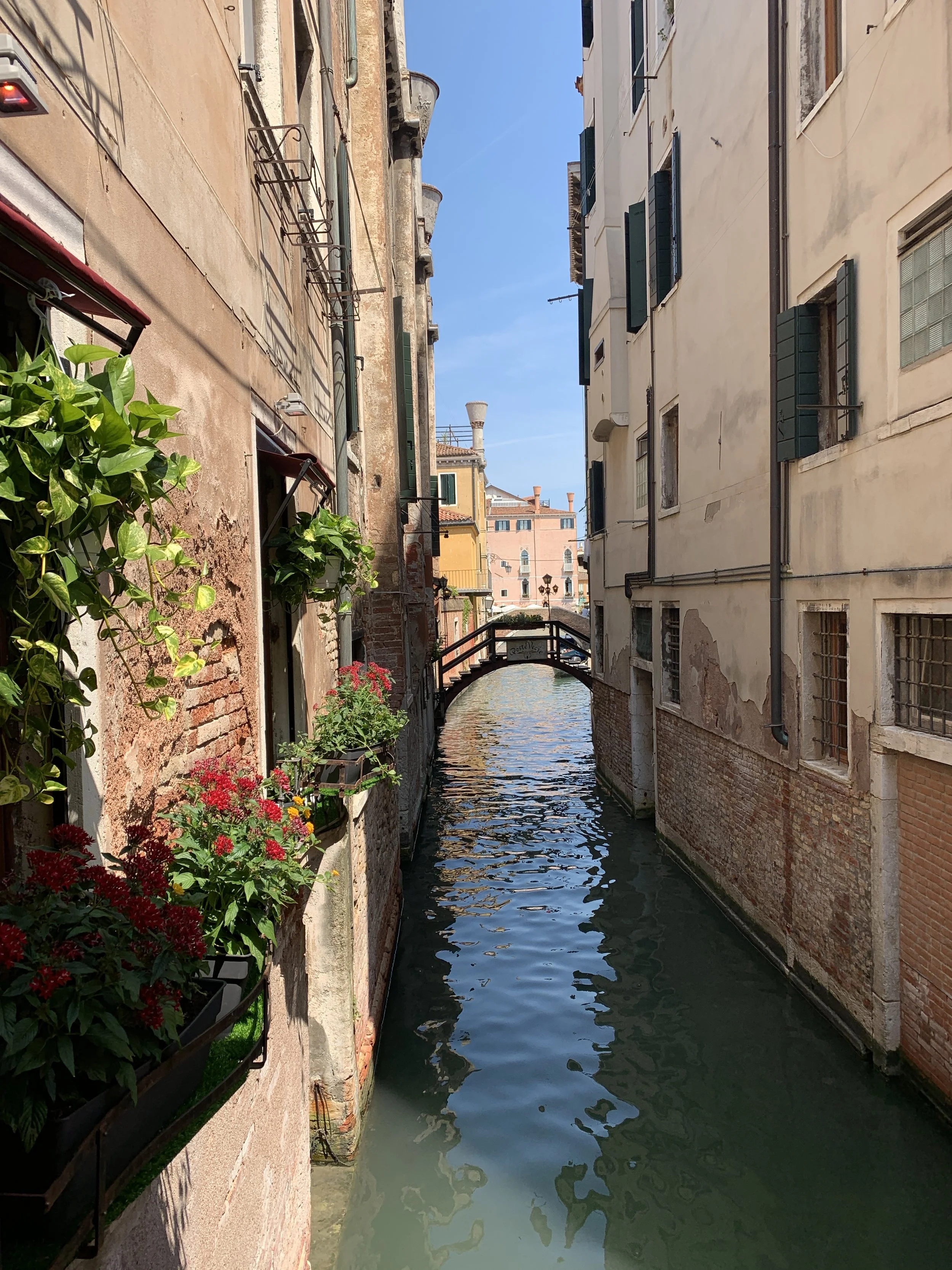Venice II