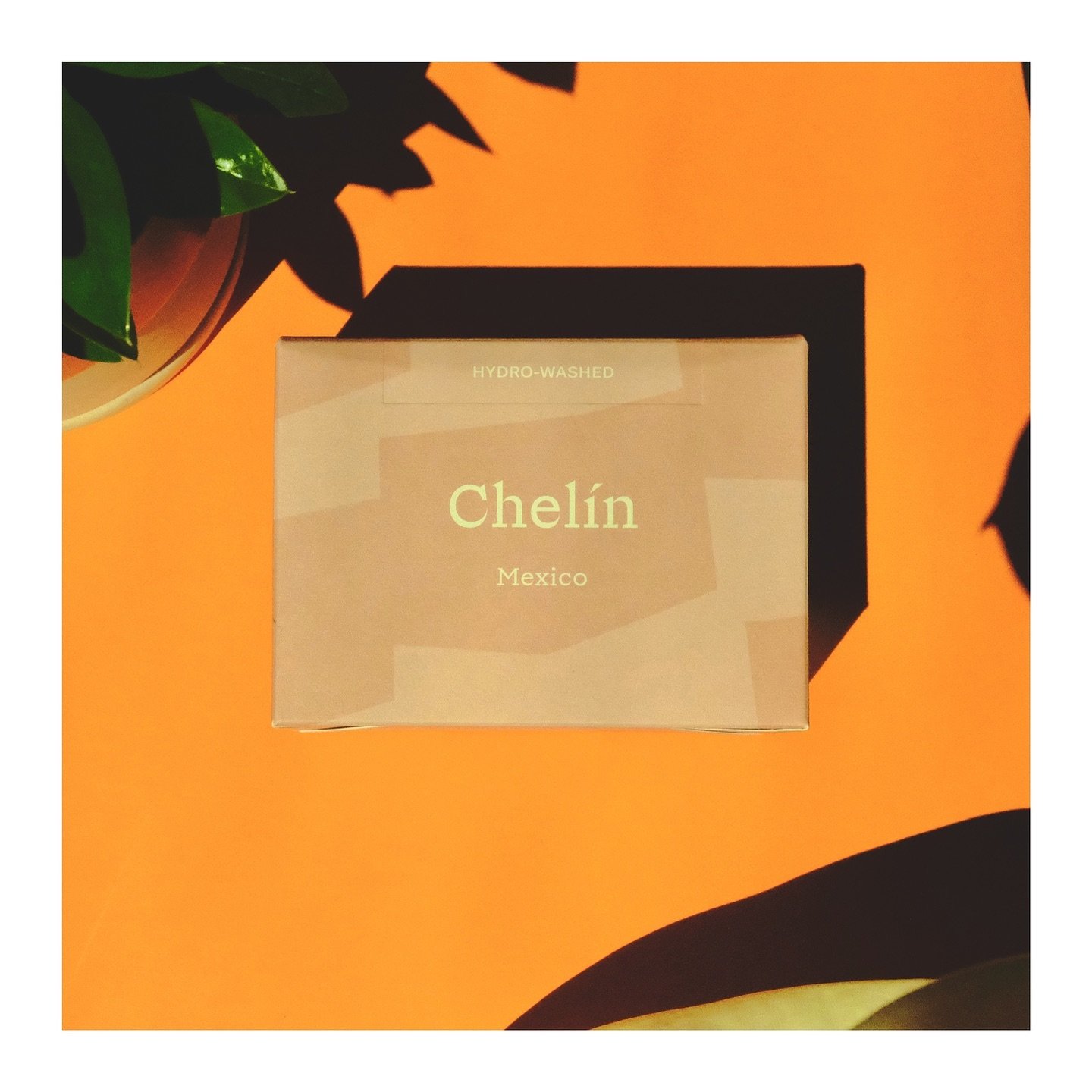 Our first featured Roaster from Edinburgh🏴󠁧󠁢󠁳󠁣󠁴󠁿
@obadiahcoffeeroasters
Last few bags available of this Hydro Washed Geisha from Finca Chelin 🇲🇽
produced by Enrique Lopez
Thanks to Team Obadiah for this partnership🙏🏼
Happy Monday Friends☀️