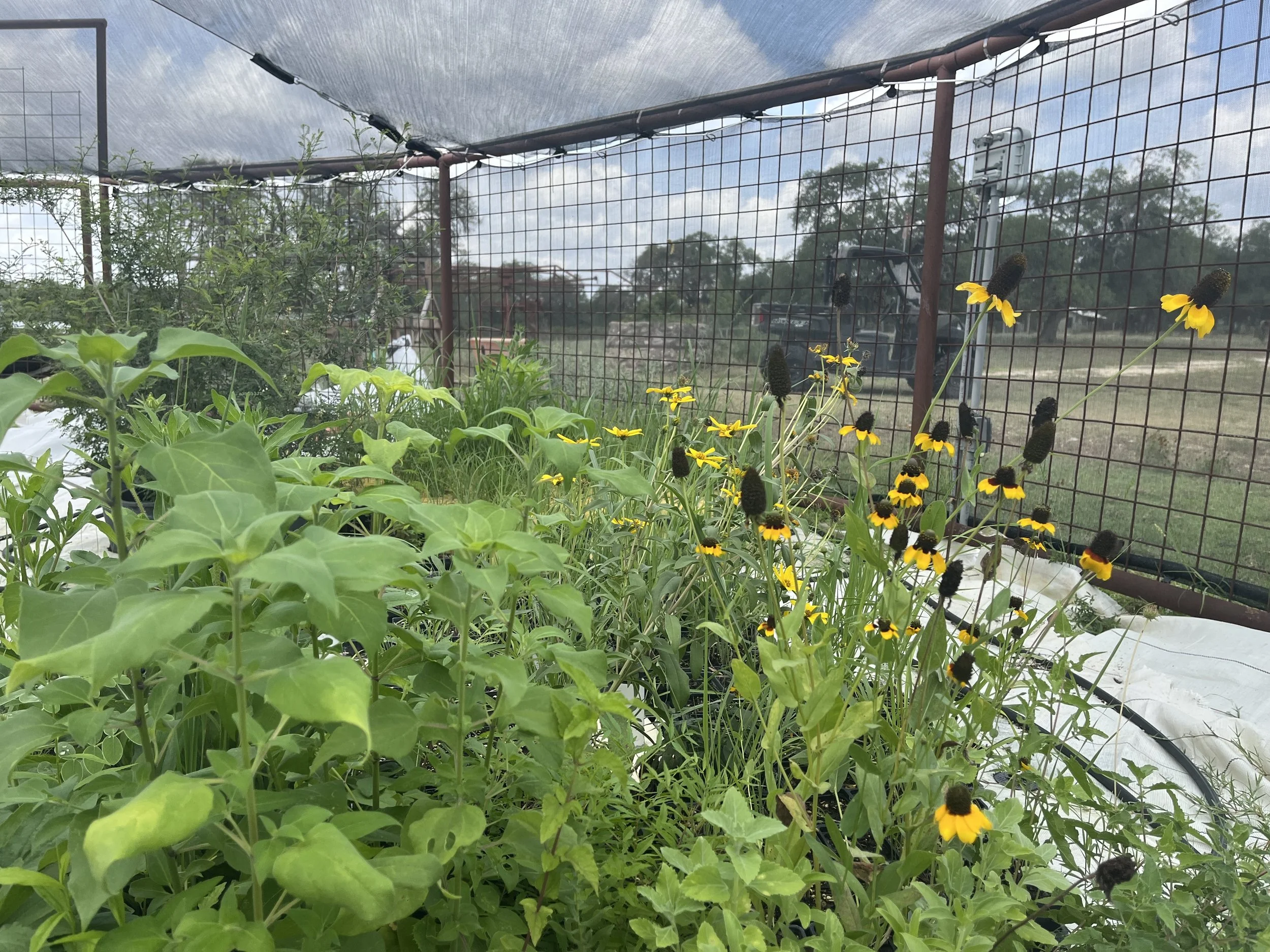 Natural Areas — Environmental Fund of Texas