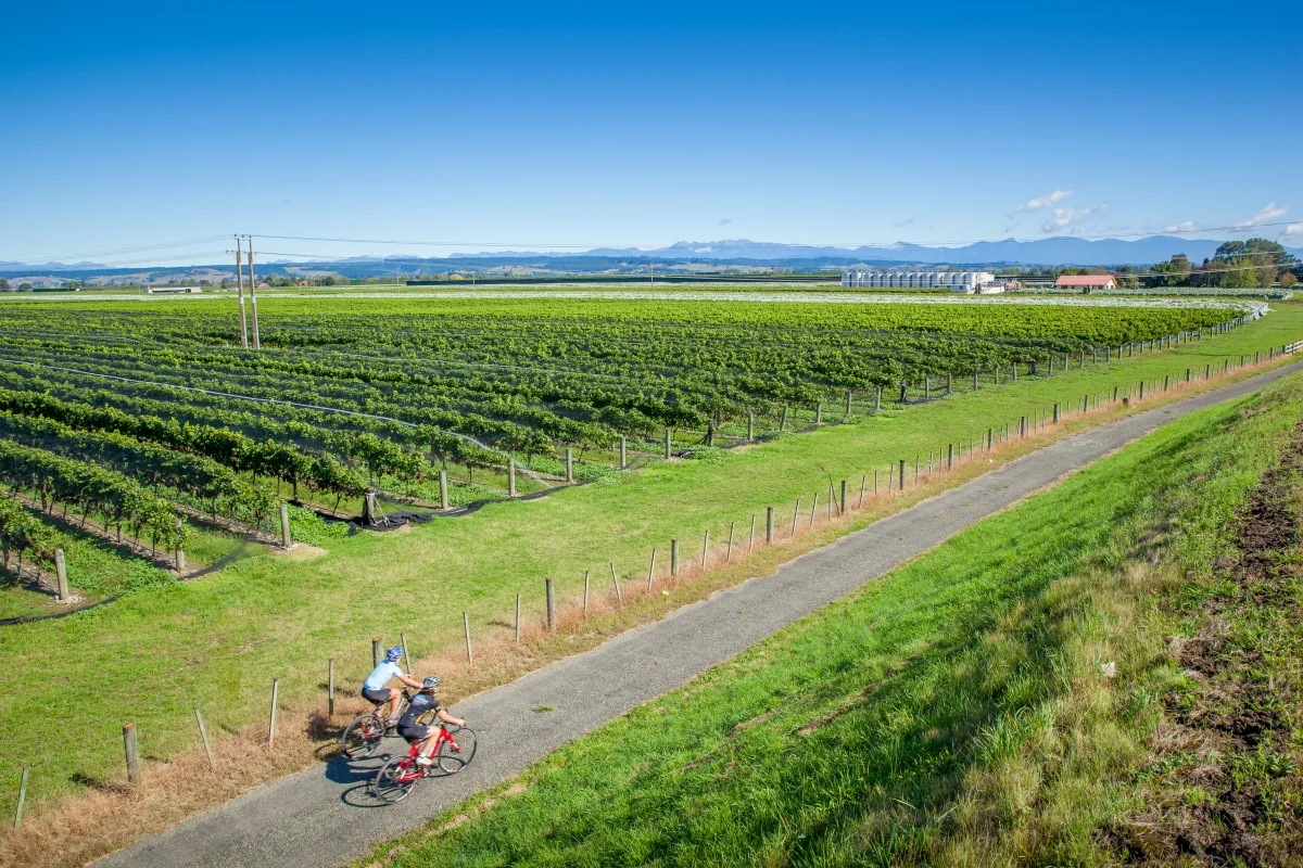 Cyclists near Winery on Tasman's Great Taste Trail - low res.jpg